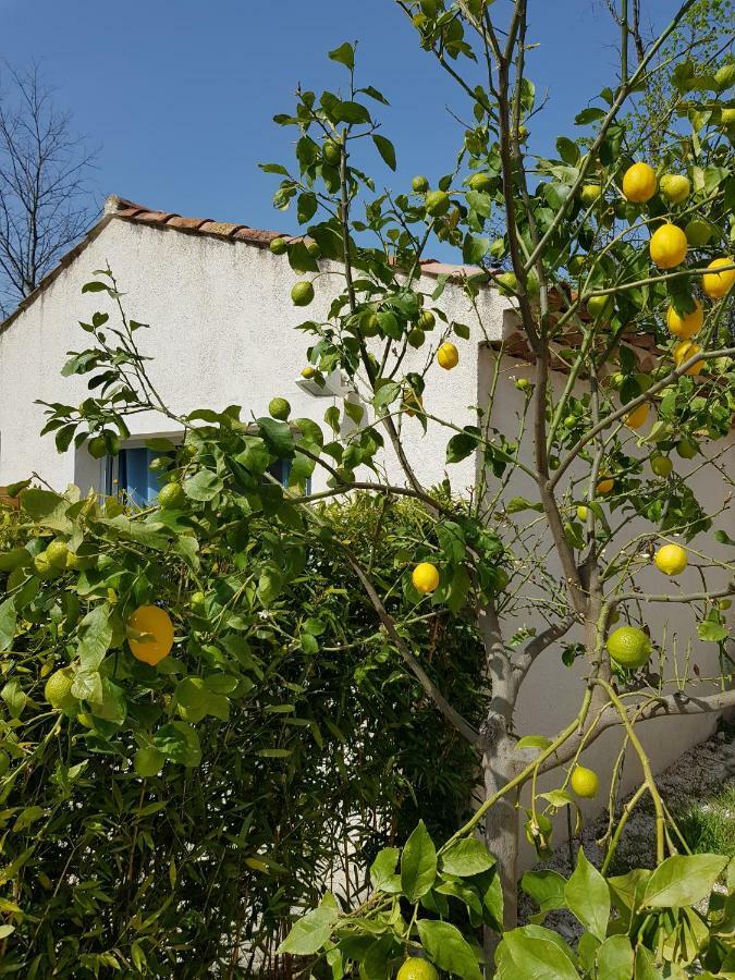 Bed and Breakfast Le Mas De La Calade Aix-en-Provence Exterior foto